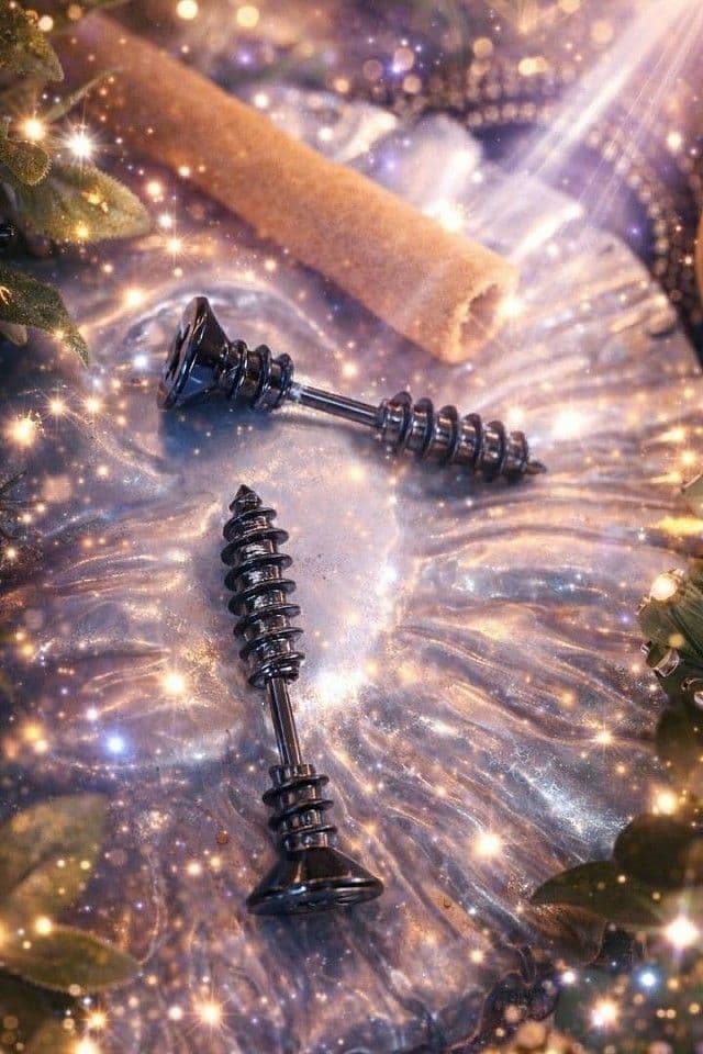 Boucle d'oreille vis ébène 